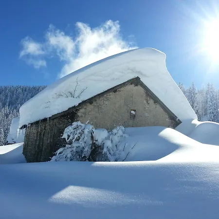 Lägenhetshotell Alpine Smart Folgaria