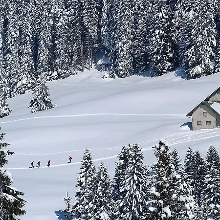 Lägenhetshotell Alpine Smart Folgaria