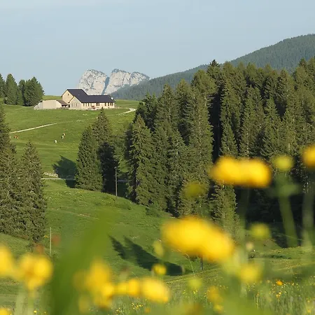Alpine Smart Lägenhetshotell 3*